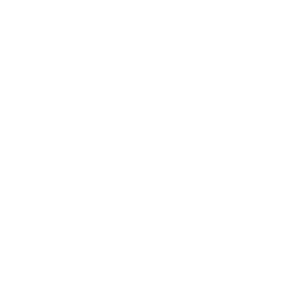 Media Production Services